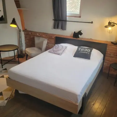 Le Colombier - A Deux Pas Du Square Charles De Gaulle * Toulouse